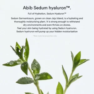 abib-sedum-hyaluron-pad-hydrating-touch-75pads-pic-4