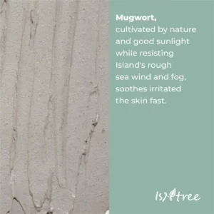 isntree-mugwort-calming-clay-mask-100ml-pic-4