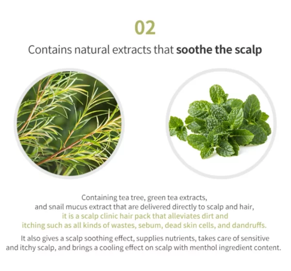 lador-tea-tree-scalp-clinic-hair-pack-200ml-pic-6