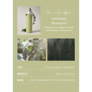 laferme-laminaria-shampoo-pine-and-eucalyptus-pic-2
