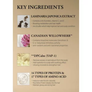 laferme-laminaria-shampoo-pine-and-eucalyptus-pic-3