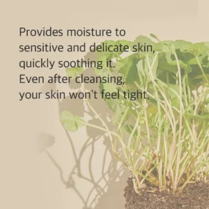 mixsoon-centella-cleansing-foam-150ml-pic-3