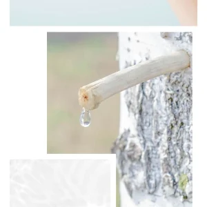 anua-birch-70-moisture-boosting-toner-250ml-pic-8