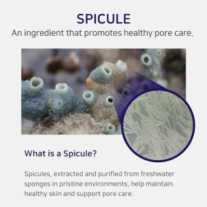 aplb-spicule-collagen-shot-300-serum-40ml-pic-4