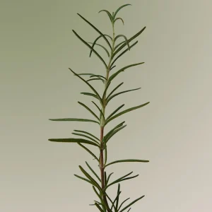aromatica-rosemary-scalp-scrub-165g-pic-1