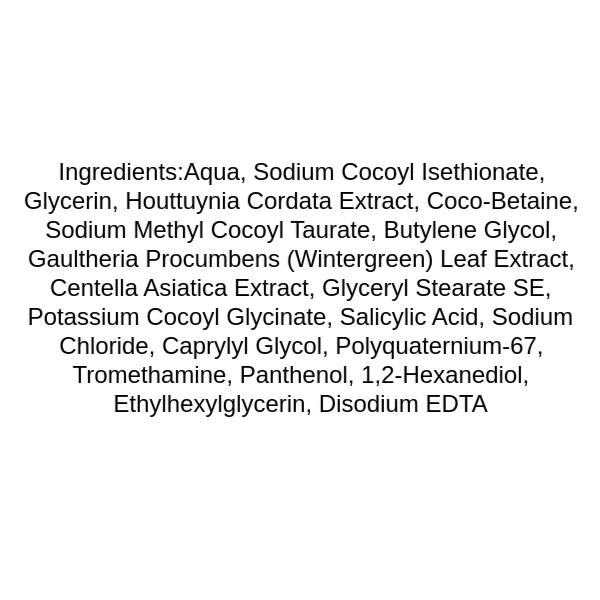abib-acne-foam-cleanser-heartleaf-foam-ingredients