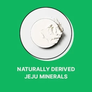 innisfree-no-sebum-mineral-pact-85g-pic-4