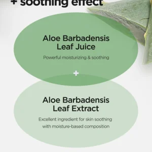 isntree-aloe-soothing-gel-moisture-type-150ml-pic-4