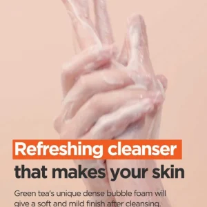 isntree-green-tea-fresh-cleanser-120ml-pic-5