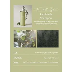 laferme-laminaria-shampoo-pine-and-eucalyptus-pic-2