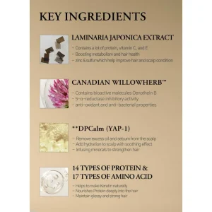 laferme-laminaria-shampoo-pine-and-eucalyptus-pic-3