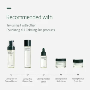 pyunkang-yul-calming-acne-cleansing-foam-100ml-pic-6