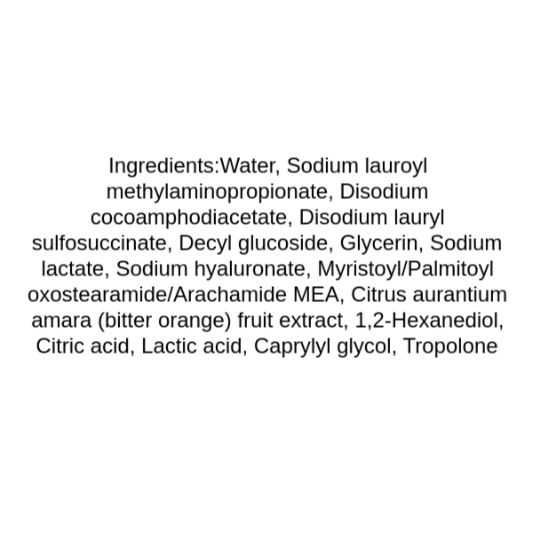 zeroid-foaming-cleanser-ingredients