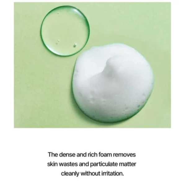 real-barrier-control-t-cleansing-foam-200ml-pic-3
