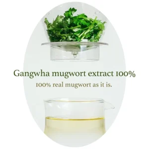 im-from-mugwort-mask-mini-30g-pic-1