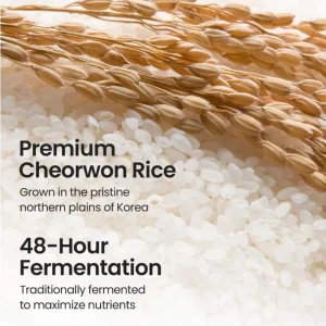 Skinfood - Rice Mask Wash Off 100g — kép 2